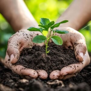 Plant Growth Regulator