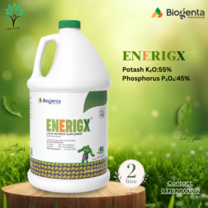 ENERIGX