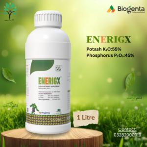 ENERIGX