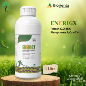 ENERIGX