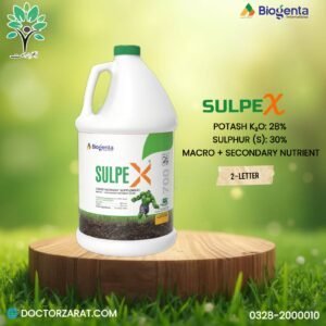 Sulpex