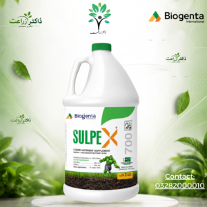 Sulpex