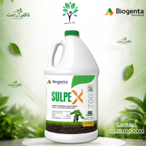 Sulpex