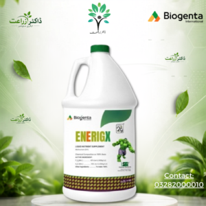 ENERIGX