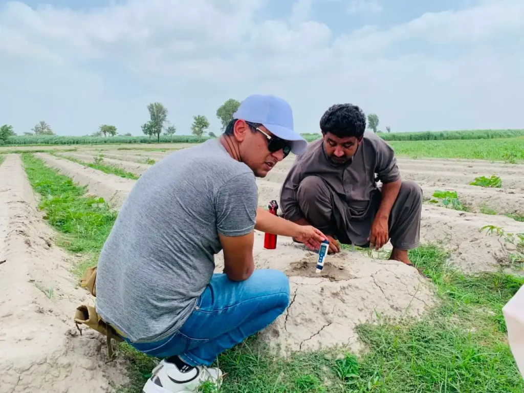 Soil sampling
