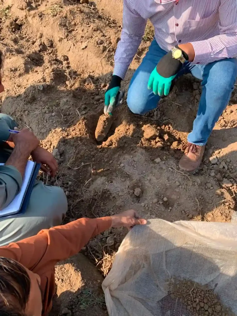soil sampling