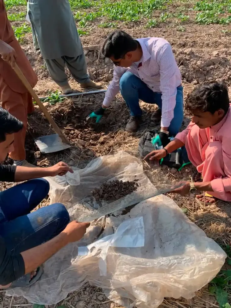 Soil sampling